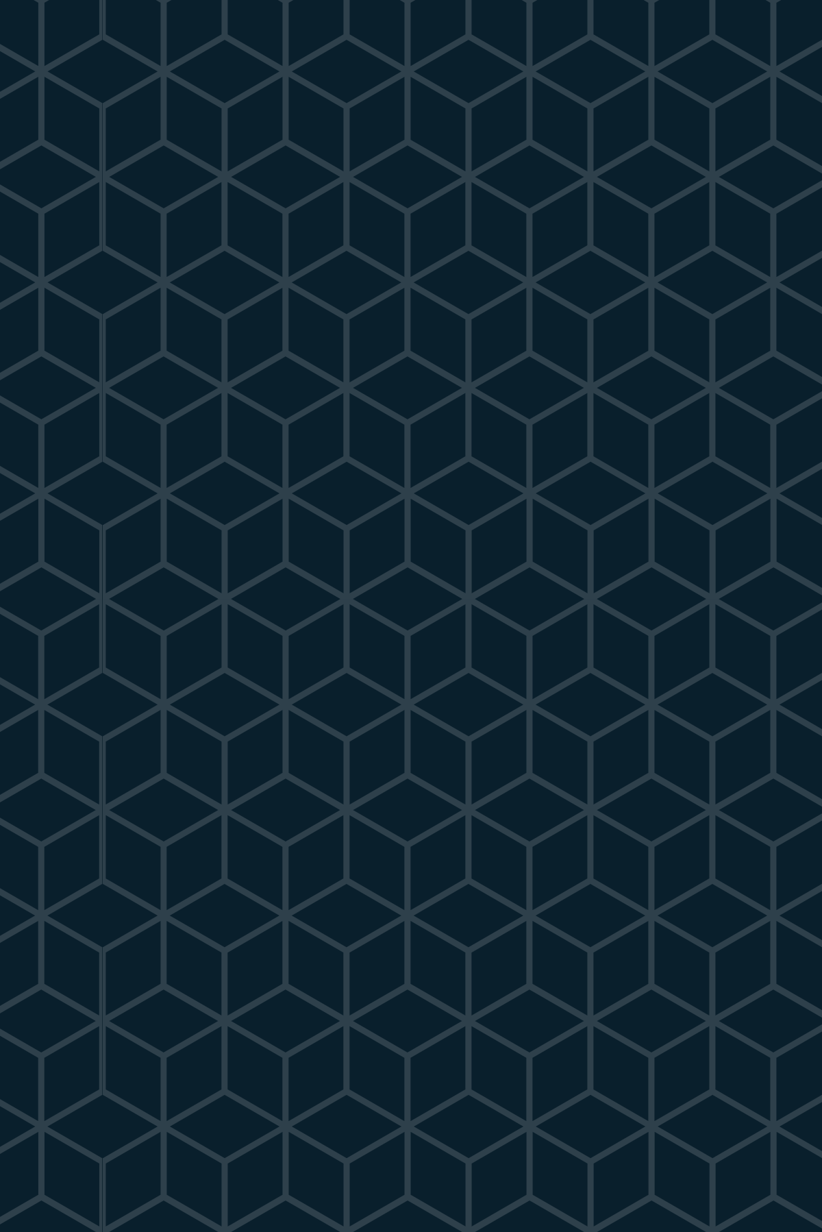 “Good business leaders create a vision, articulate the vision, passionately own the vision, and relentlessly drive it to completion.”